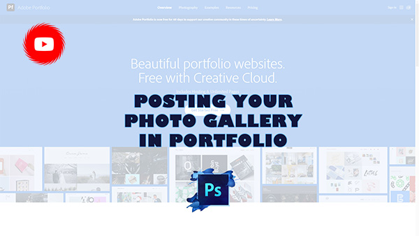 Portfolio Photo Gallery